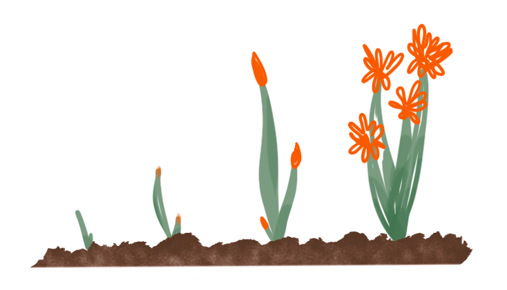 ilustracion pequeña3